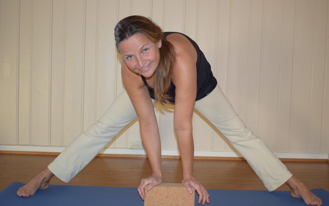 Hatha yoga videregående kurs i Larvik