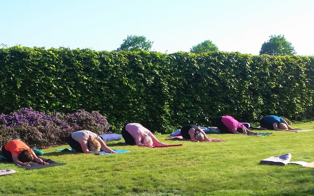 Velkommen til UteYoga sesong på Lotussenteret i Stavern/ Larvik