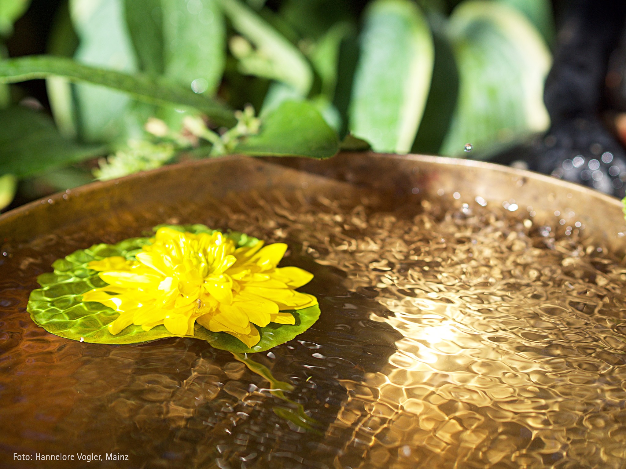 Velvære fredag med Restorative Yin Yoga 29.april kl 16:00 – 17:00 på Lotussenteret i Larvik