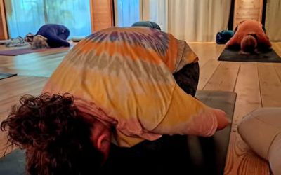 Hatha Yoga kurs med Alexandra onsdager kl 17:30 – 18:45 på Lotussenteret i Larvik