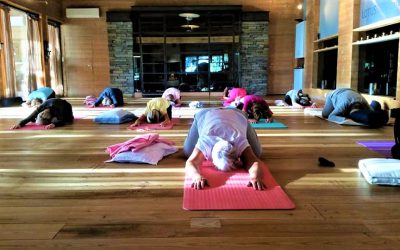 Yin Yoga med Alexandra onsdager kl 19:00 – 20:15 på Lotussenteret i Larvik