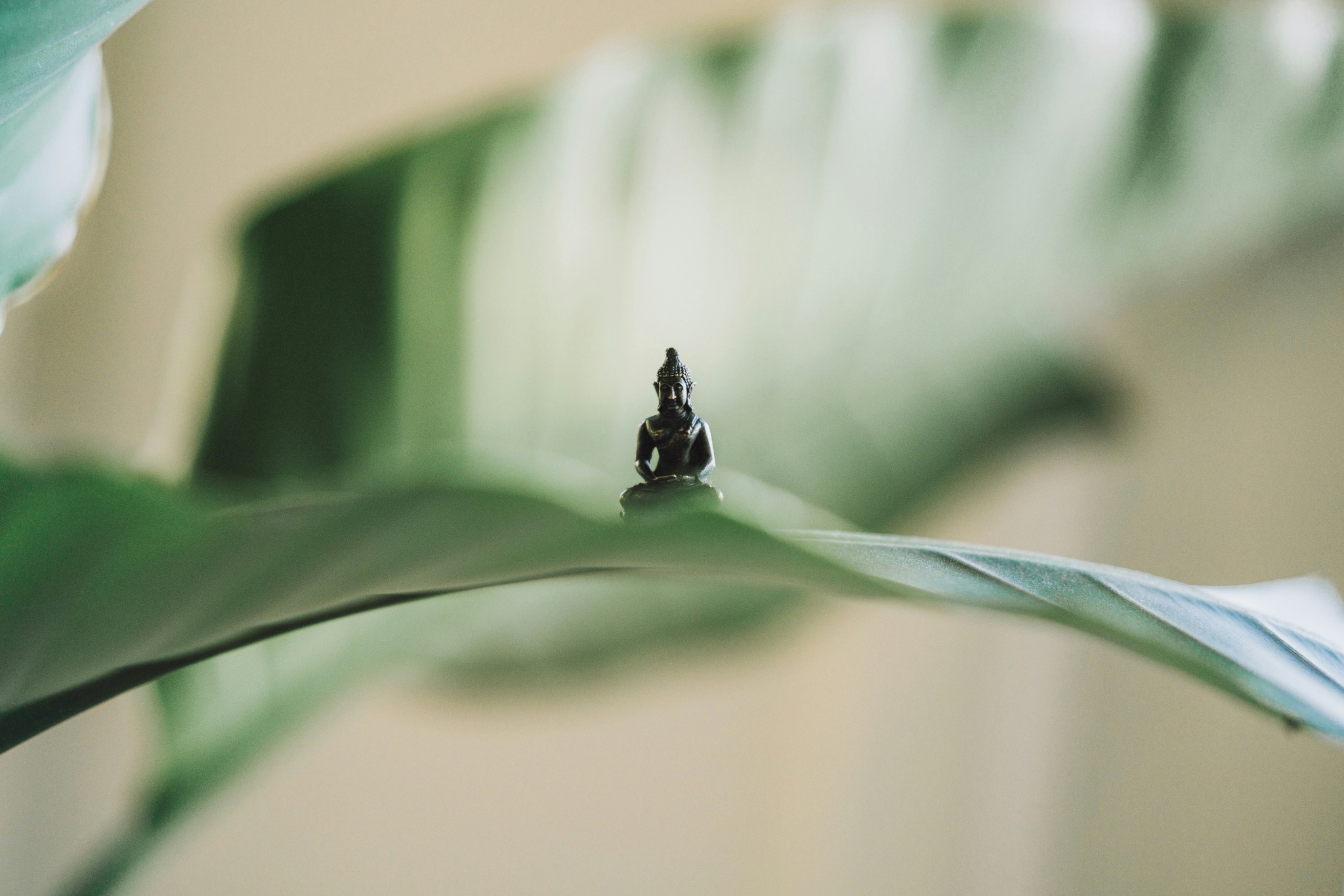 Velvære fredag Yin Yoga og meditasjon fredag 9.mai kl 16:00 -17:30 med Alexandra og Lucy
